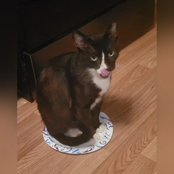 MELODY'S LIVE SHOW HOST LISTING - Picture 10 of 15